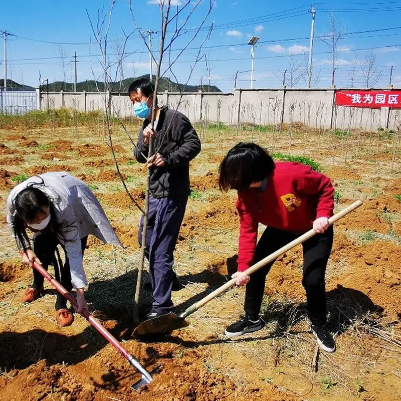 3月12日植樹節(jié)：讓綠色理念生根發(fā)芽！